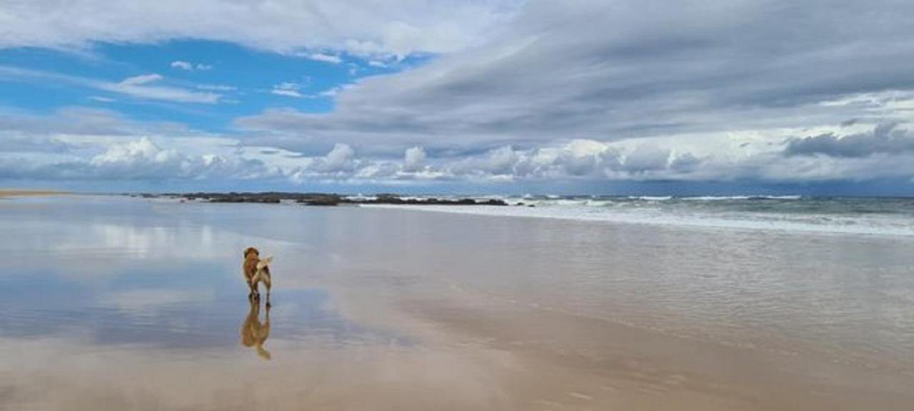 Diamond Beach Resort, Mid North Coast Nsw Kültér fotó